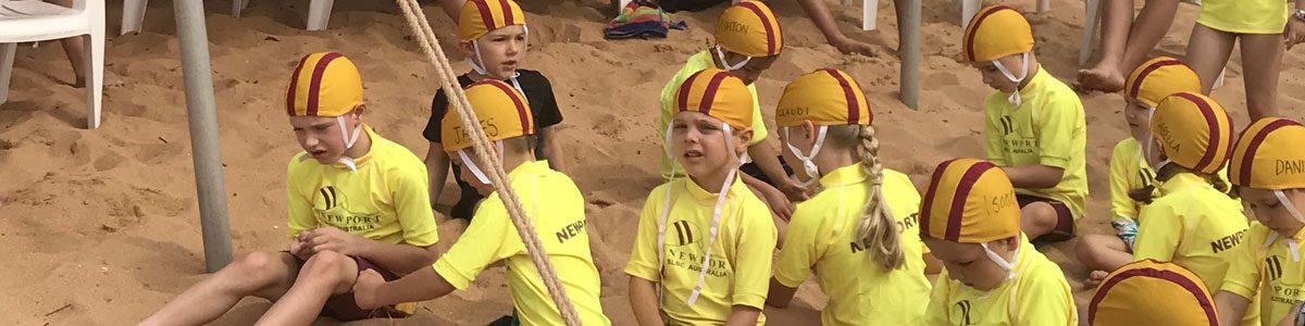 nslsc-nippers
